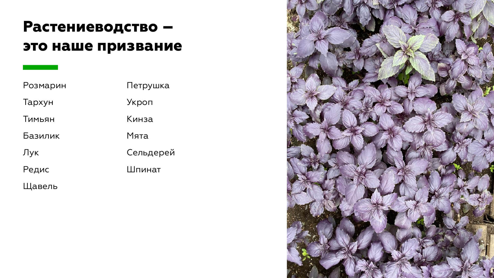 Фото 6